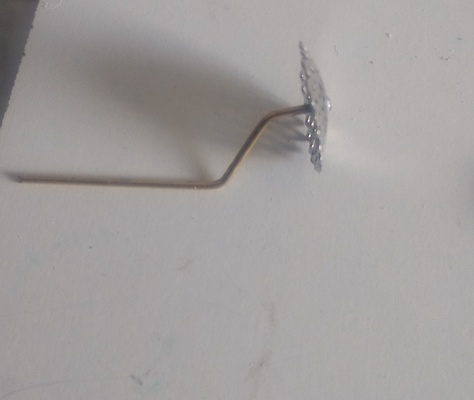 Une branche terminée